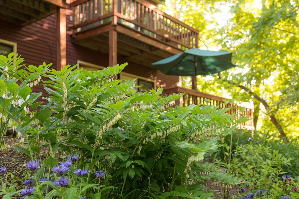 Hawthorn Bed & Breakfast
