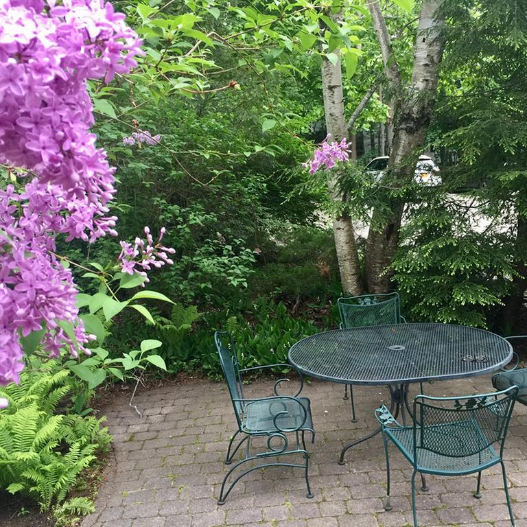 Bed & Breakfast Elms Of 3*